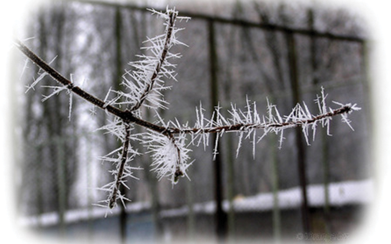 A Winter Worry: Recognize Frostbite and When to Seek Treatment